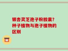 银杏灵芝孢子粉胶囊？种子植物与孢子植物的区别