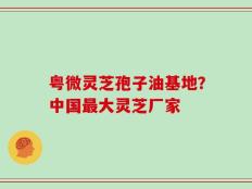 粤微灵芝孢子油基地？中国最大灵芝厂家