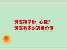 灵芝孢子粉  心经？灵芝有多少药用价值
