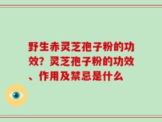 野生赤灵芝孢子粉的功效？灵芝孢子粉的功效、作用及禁忌是什么