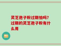 灵芝孢子粉过期怕吗？过期的灵芝孢子粉有什么用