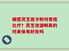 破壁灵芝孢子粉对胃癌化疗？灵芝泡酒喝真的对身体有好处吗