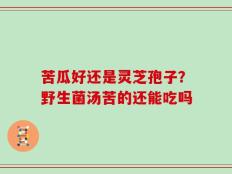 苦瓜好还是灵芝孢子？野生菌汤苦的还能吃吗