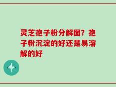 灵芝孢子粉分解图？孢子粉沉淀的好还是易溶解的好