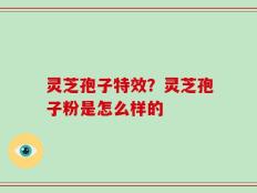 灵芝孢子特效？灵芝孢子粉是怎么样的