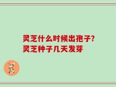 灵芝什么时候出孢子？灵芝种子几天发芽