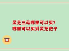 灵芝三萜哪里可以买？哪里可以买到灵芝孢子