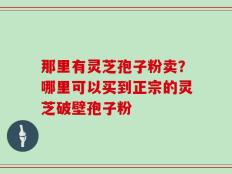 那里有灵芝孢子粉卖？哪里可以买到正宗的灵芝破壁孢子粉