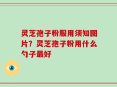 灵芝孢子粉服用须知图片？灵芝孢子粉用什么勺子最好
