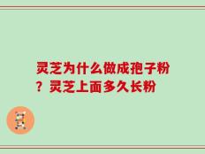 灵芝为什么做成孢子粉？灵芝上面多久长粉