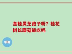 金桂灵芝孢子粉？桂花树长蘑菇能吃吗