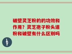 破壁灵芝粉的的功效和作用？灵芝孢子粉头道粉和破壁有什么区别吗