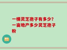 一棵灵芝孢子有多少？一亩地产多少灵芝孢子粉