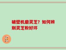 破壁机磨灵芝？如何辨别灵芝粉好坏