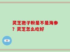灵芝孢子粉是不是海参？灵芝怎么吃好