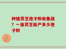 种植灵芝孢子粉收集袋？一亩灵芝能产多少孢子粉