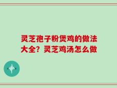 灵芝孢子粉煲鸡的做法大全？灵芝鸡汤怎么做