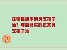在哪里能采到灵芝孢子油？哪里能买到正宗灵芝孢子油