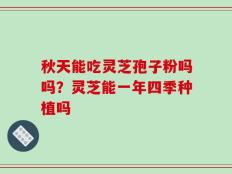 秋天能吃灵芝孢子粉吗吗？灵芝能一年四季种植吗