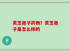 灵芝孢子药物？灵芝孢子是怎么样的
