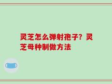 灵芝怎么弹射孢子？灵芝母种制做方法