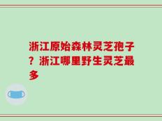 浙江原始森林灵芝孢子？浙江哪里野生灵芝最多