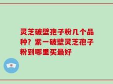 灵芝破壁孢子粉几个品种？紫一破壁灵芝孢子粉到哪里买最好