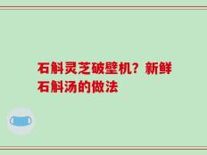 石斛灵芝破壁机？新鲜石斛汤的做法