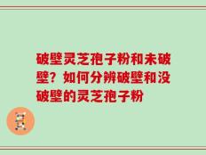 破壁灵芝孢子粉和未破壁？如何分辨破壁和没破壁的灵芝孢子粉