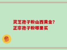灵芝孢子粉山西黄金？正宗孢子粉哪里买
