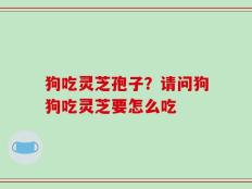 狗吃灵芝孢子？请问狗狗吃灵芝要怎么吃
