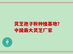 灵芝孢子粉种植基地？中国最大灵芝厂家