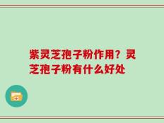 紫灵芝孢子粉作用？灵芝孢子粉有什么好处