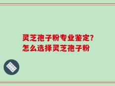 灵芝孢子粉专业鉴定？怎么选择灵芝孢子粉