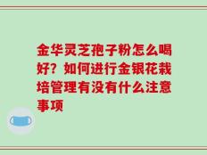 金华灵芝孢子粉怎么喝好？如何进行金银花栽培管理有没有什么注意事项
