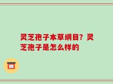 灵芝孢子本草纲目？灵芝孢子是怎么样的