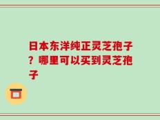 日本东洋纯正灵芝孢子？哪里可以买到灵芝孢子
