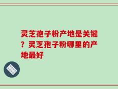 灵芝孢子粉产地是关键？灵芝孢子粉哪里的产地最好