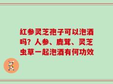 红参灵芝孢子可以泡酒吗？人参、鹿茸、灵芝虫草一起泡酒有何功效