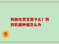 狗能吃灵芝孢子么？狗狗乳腺肿瘤怎么办
