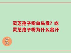 灵芝孢子粉白头发？吃灵芝孢子粉为什么出汗