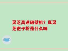 灵芝高速破壁机？真灵芝孢子粉是什么味
