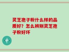 灵芝孢子粉什么样的品质好？怎么辨别灵芝孢子粉好坏