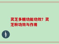 灵芝多糖功能功效？灵芝粉功效与作用