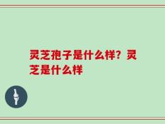 灵芝孢子是什么样？灵芝是什么样