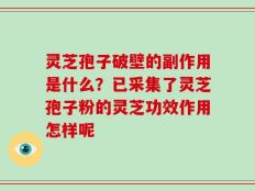 灵芝孢子破壁的副作用是什么？已采集了灵芝孢子粉的灵芝功效作用怎样呢
