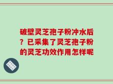 破壁灵芝孢子粉冲水后？已采集了灵芝孢子粉的灵芝功效作用怎样呢