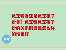 灵芝粉香还是灵芝孢子粉香？灵芝和灵芝孢子粉的关系到底是怎么样的谁更好