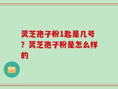 灵芝孢子粉1匙是几号？灵芝孢子粉是怎么样的