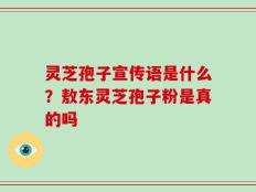 灵芝孢子宣传语是什么？敖东灵芝孢子粉是真的吗
